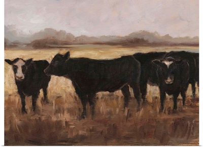 Black Cows I