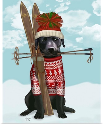 Black Labrador, Skiing