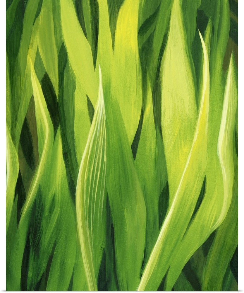 Blades Of Grass II