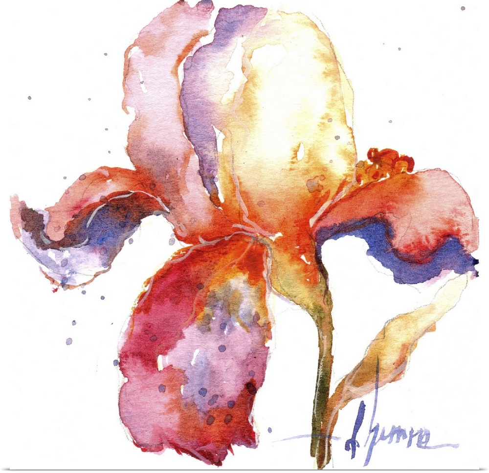 Contemporary watercolor painting of an abstract floral against a white background.