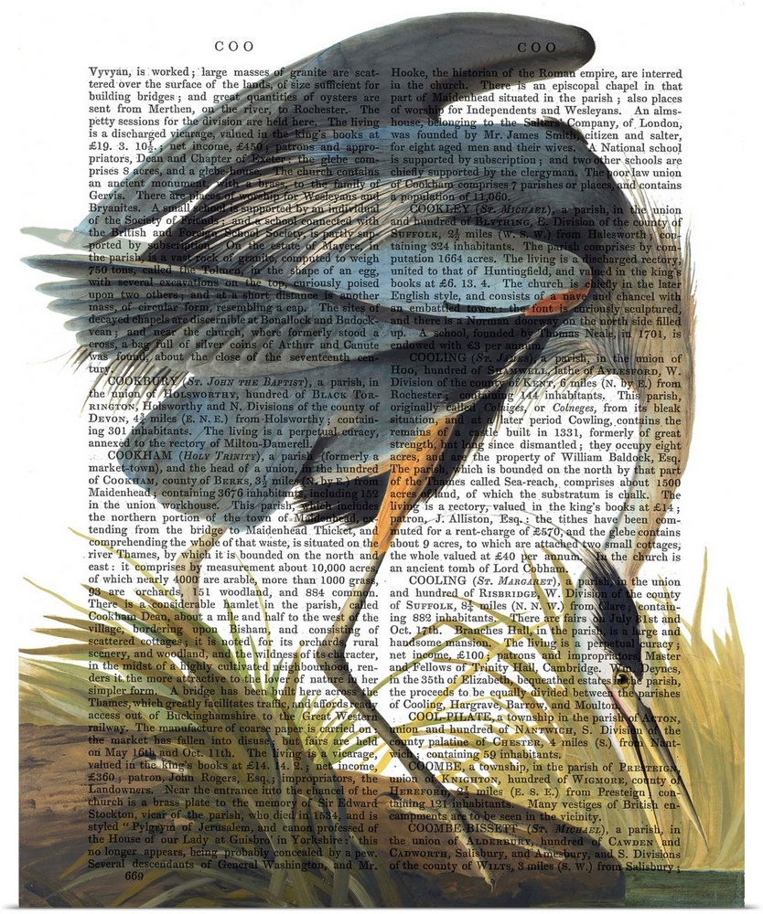 A blue heron painted over a vintage dictionary page.