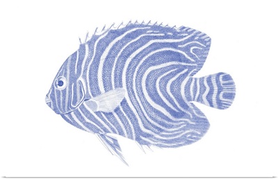 Blue & White Tropical Fish II