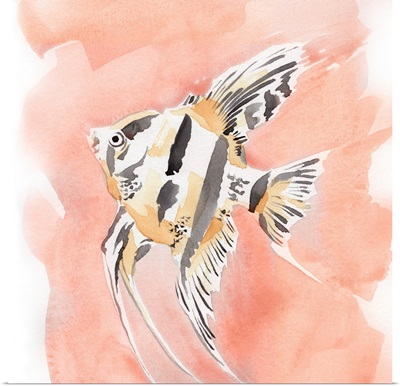 Blush And Ochre Angel Fish II