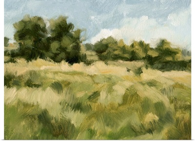 Breezy Meadow II