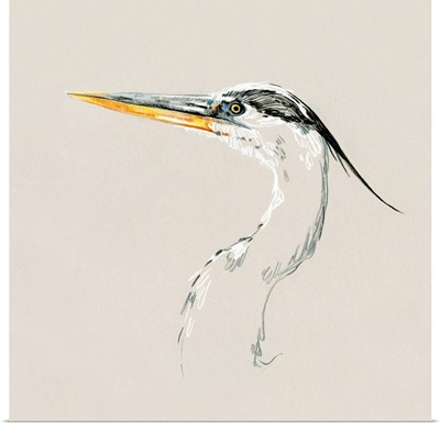 Bright Heron Sketch II