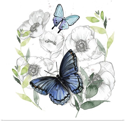 Butterfly Floral II