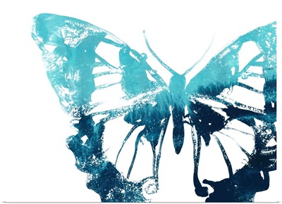 Butterfly Imprint I