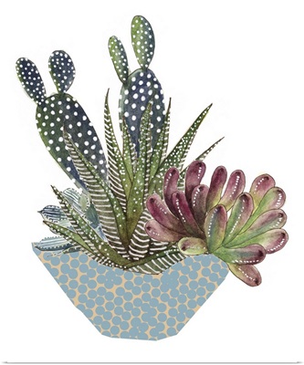 Cactus Arrangement I