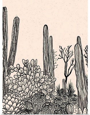Cactus Drawing II