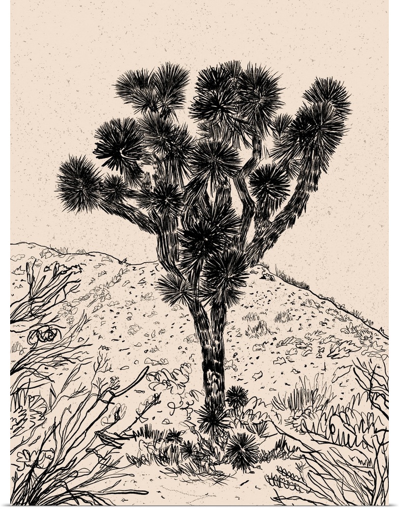 Cactus Drawing III