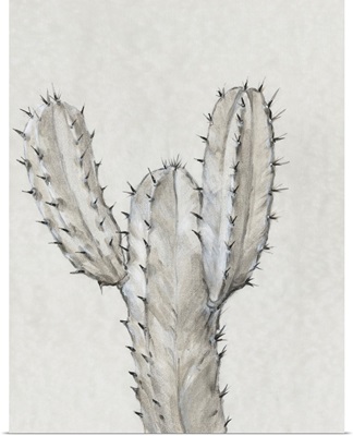 Cactus Study II