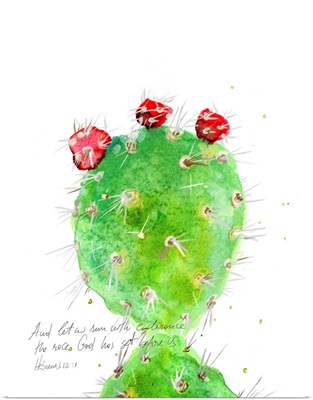 Cactus Verse IV