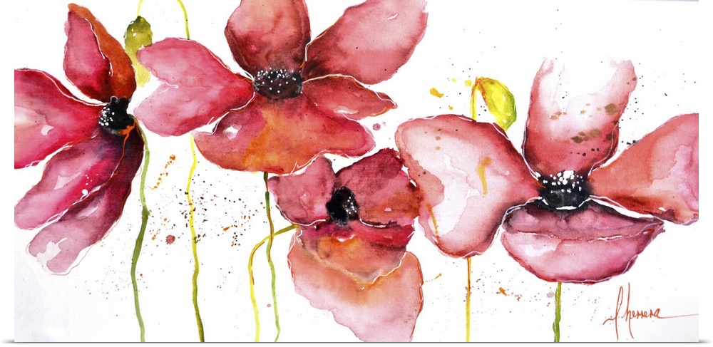 Horizontal image of red watercolor poppy flowers on white.