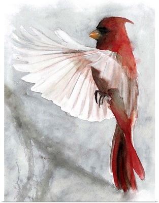 Cardinals II