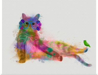 Cat Rainbow Splash 10