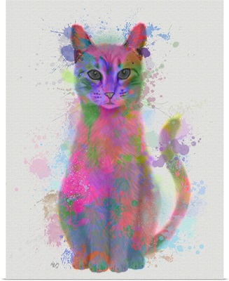 Cat Rainbow Splash 4