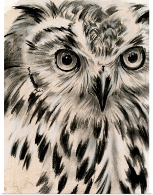 Charcoal Owl I