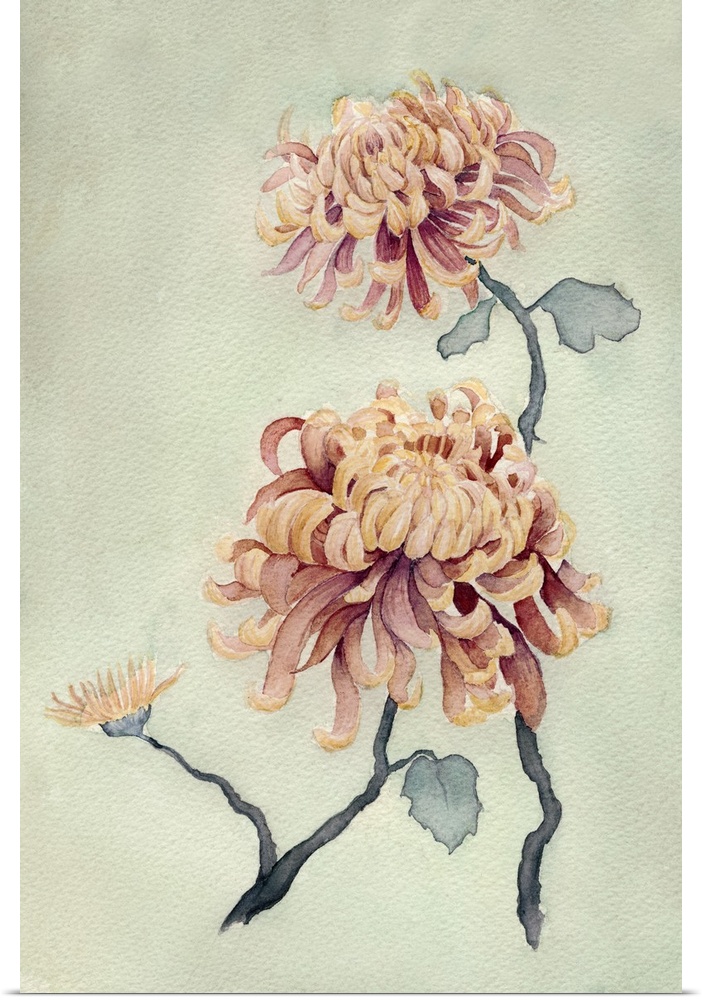 Contemporary artwork of delicate chrysanthemum flowers over a neutral green background.
