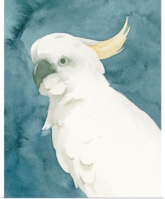Cockatoo Portrait II