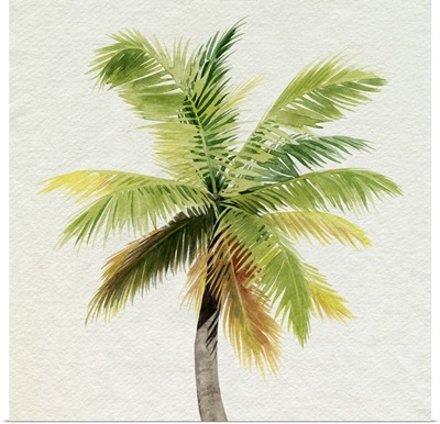 Coco Watercolor Palm II