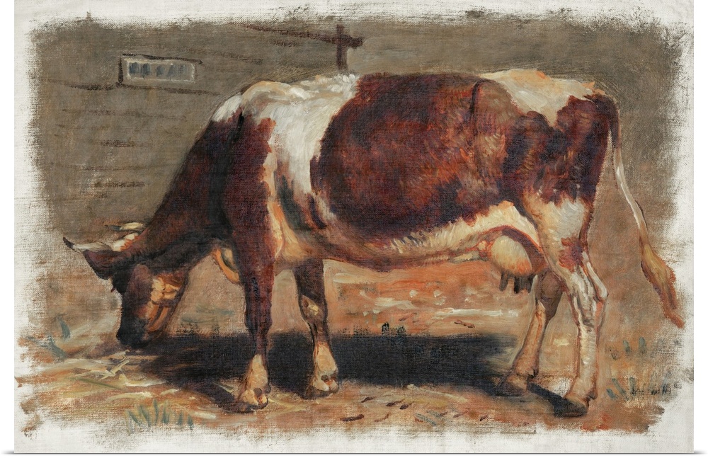 Colman Color Study Of Cows I