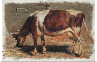 Colman Color Study Of Cows I