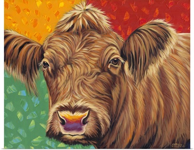 Colorful Country Cows II