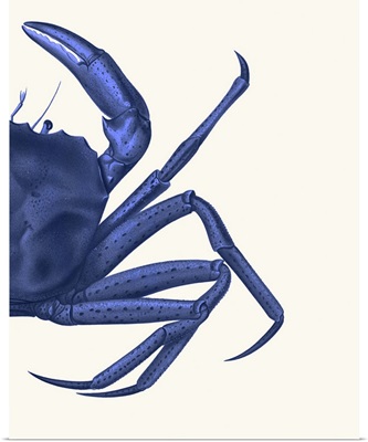 Contrasting Crab in Navy Blue B