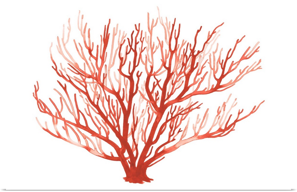 Simple monochromatic painting of a coral fan against a white background