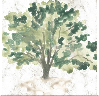 Country Tree I