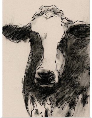 Cow Portrait Sketch II