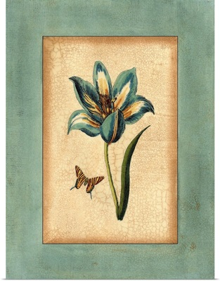 Crackled Spa Blue Tulip III