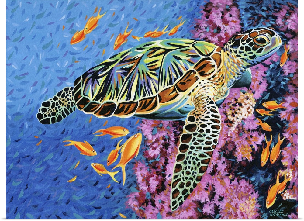 Contemporary painting of a sea turtle floating in the ocean with tropical fish and coral.