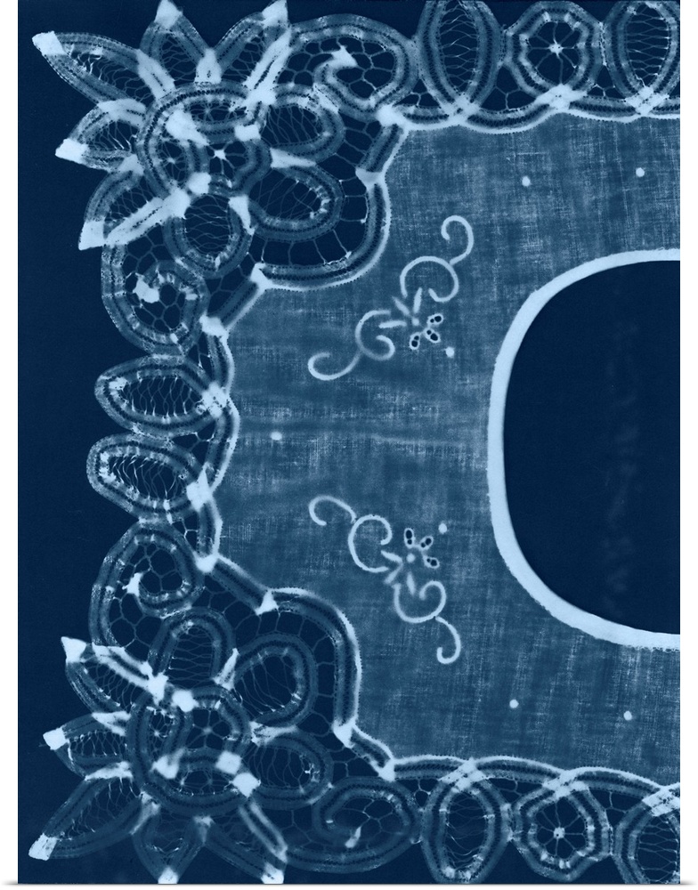 Cyanotype Artifact I