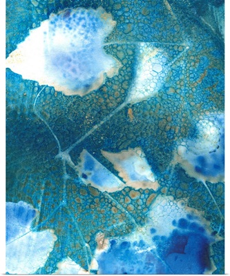 Cyanotype Leaves I
