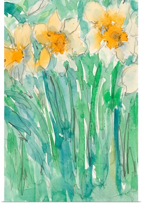 Daffodils Stems I
