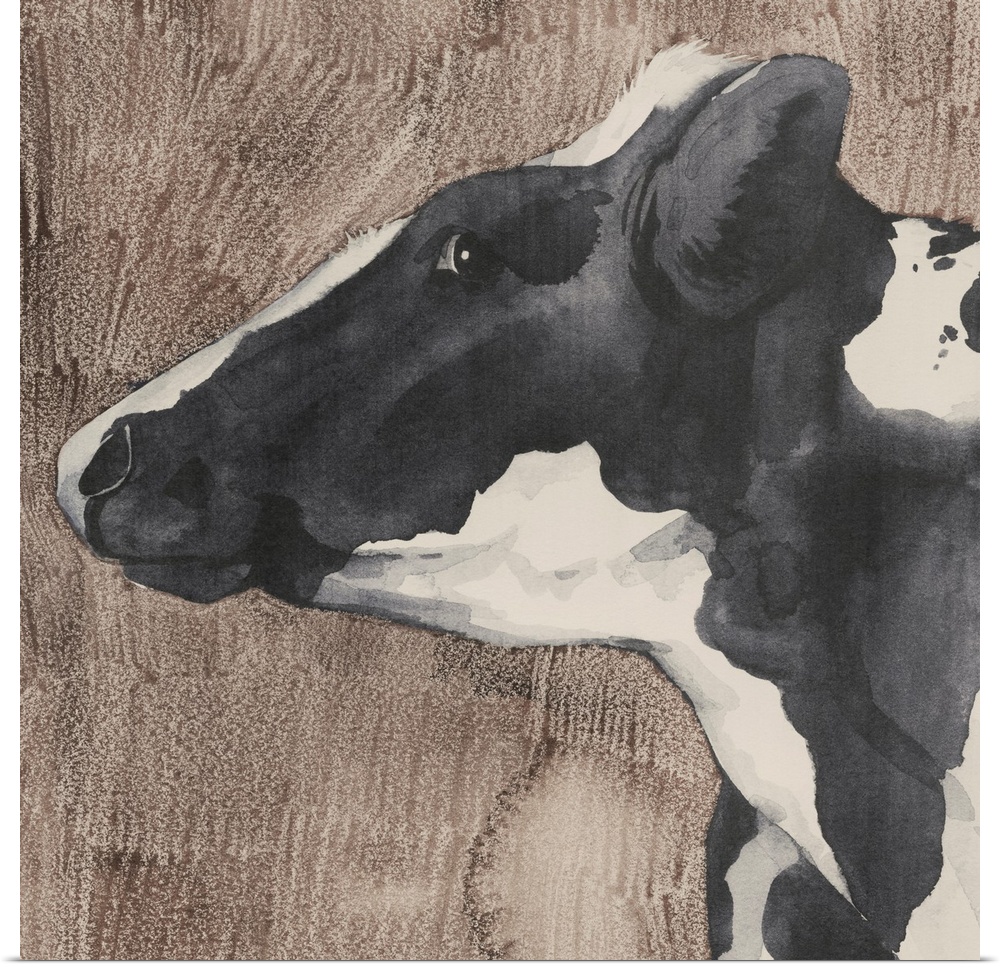 Dairy Cow Portrait II