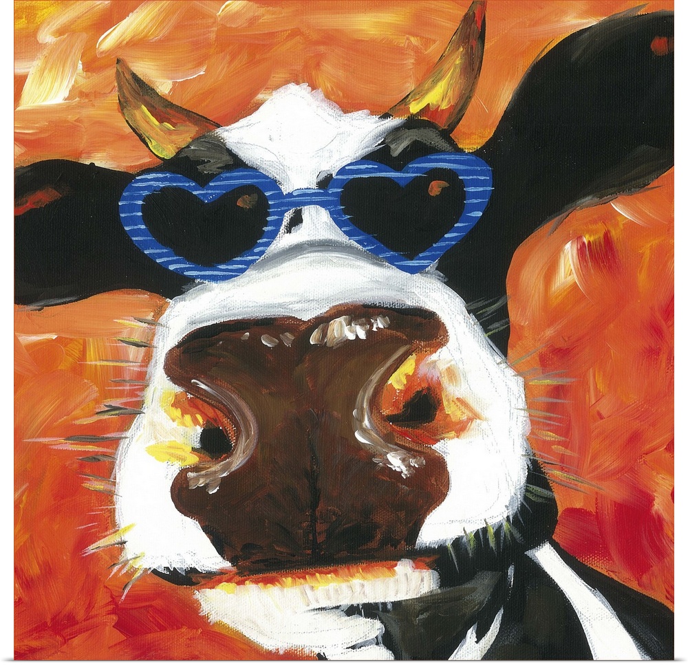 A engaging portrait of a black and white cow wearing heart shaped sunglasses on an orange background.