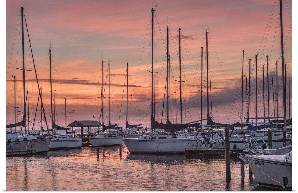 A serene photo featuring sailboats huddled in a marina while the sun rises in the background