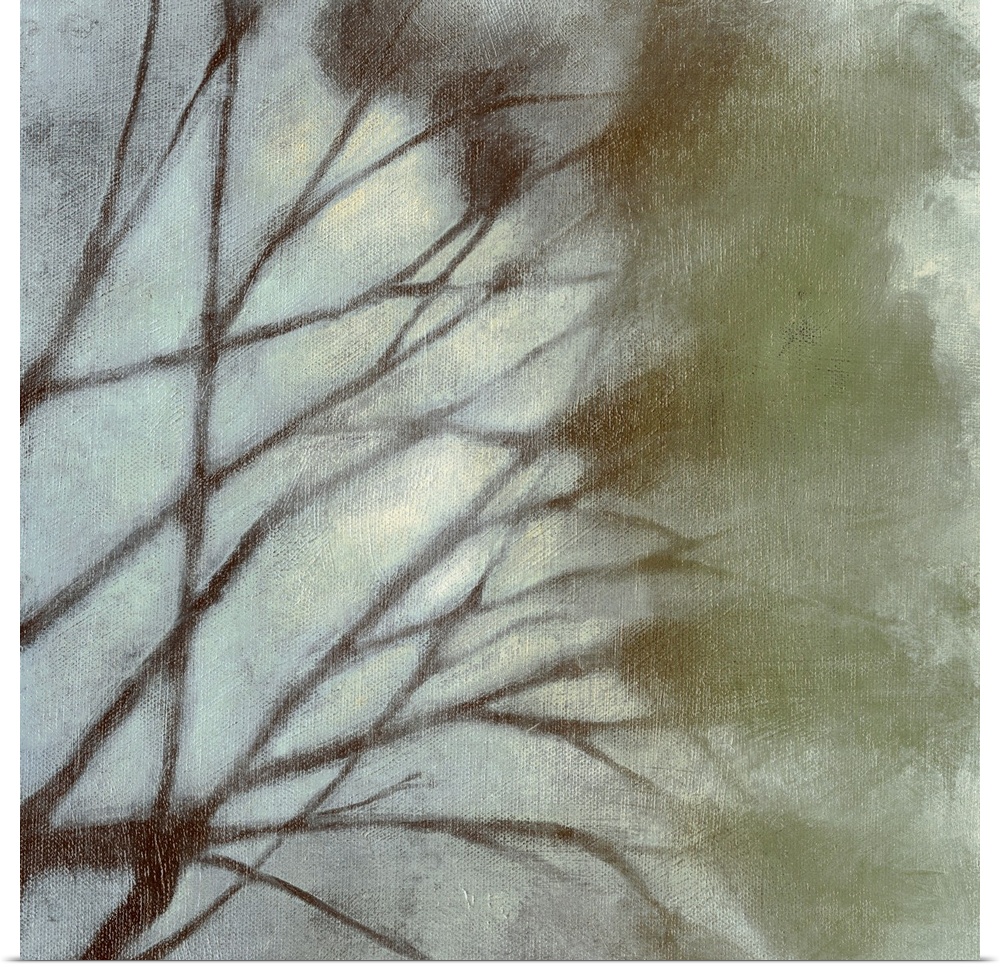 Diffuse Branches II
