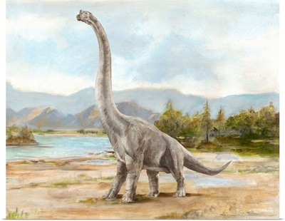 Dinosaur Illustration IV