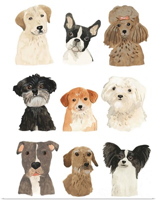 Doggos & Puppers II