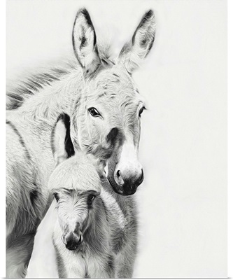 Donkey Portrait V