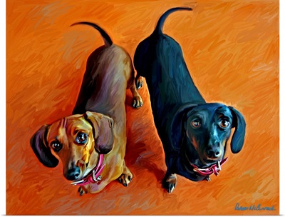 Double Dachsies