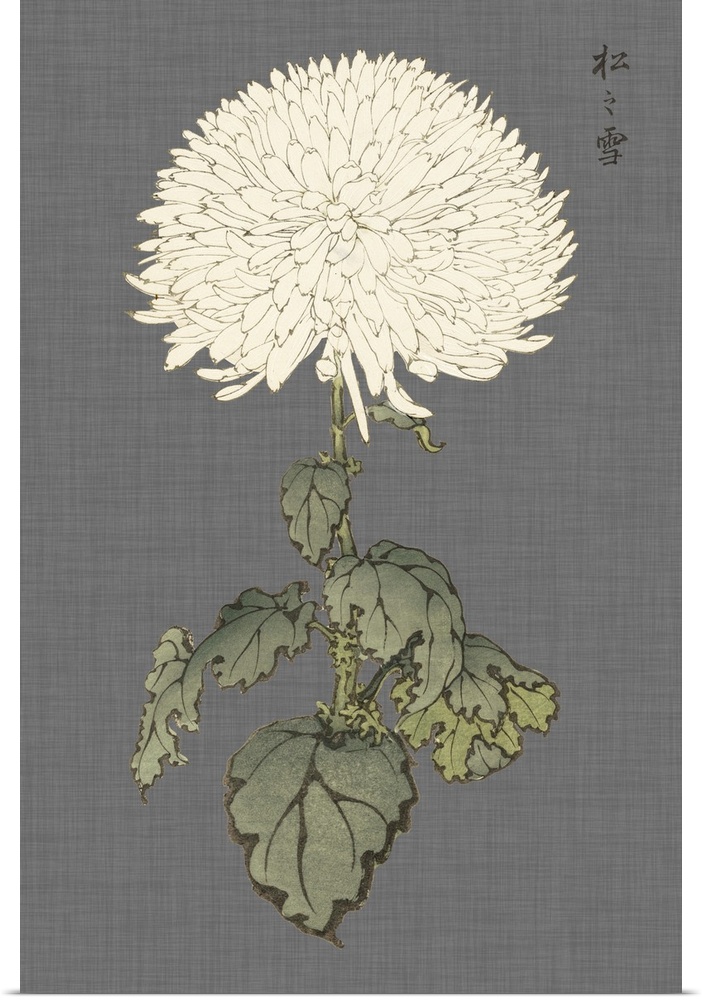 Decorative art with a large ivory mum on a gray textured background.