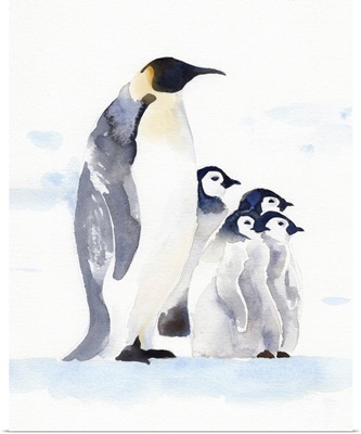 Emperor Penguins I