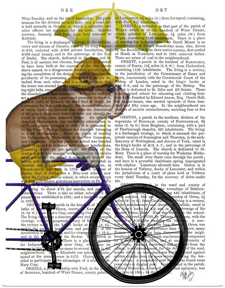 Decorative artwork with an English Bulldog wearing yellow rain gear and riding a bicycle, painted on the page of a book.