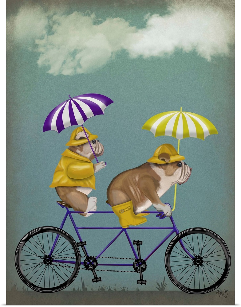Decorative artwork of tow English Bulldogs wearing bright yellow rain gear riding on a purple tandem bicycle with purple a...