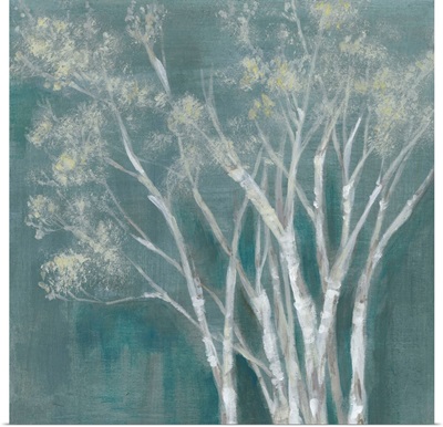 Ethereal Birches I