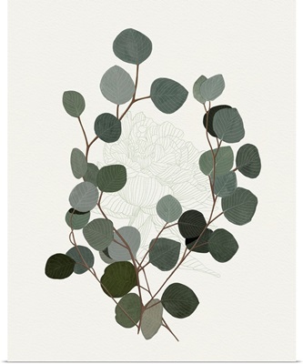 Eucalyptus Leaves I